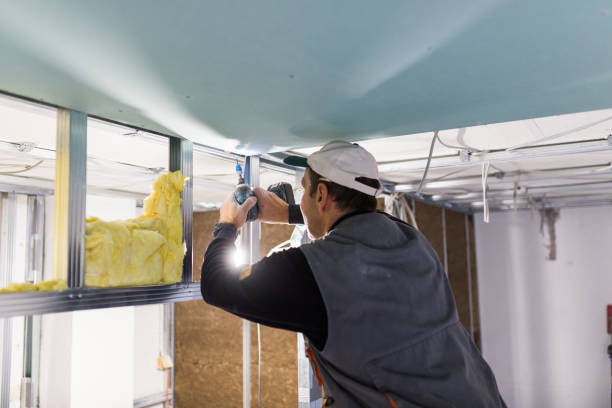 Best Spray Foam Insulation in Fort Sumner, NM