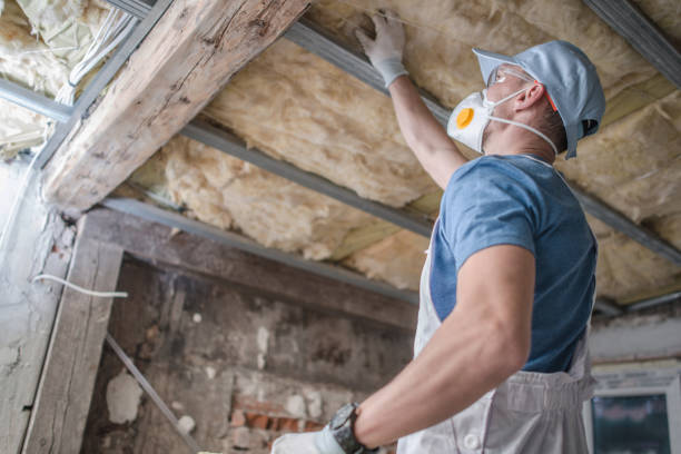 Best Cellulose Insulation in Fort Sumner, NM