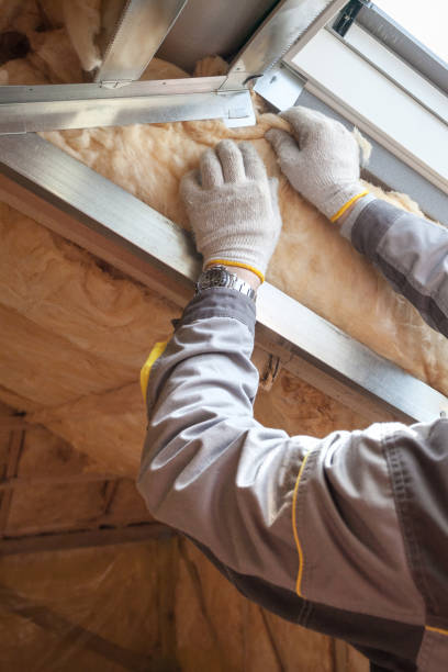 Best Eco-Friendly Insulation in Fort Sumner, NM